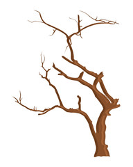 Branches Dead Tree Designs