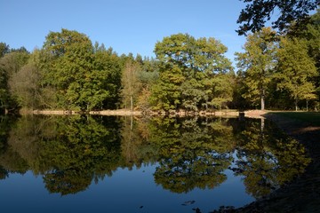 Fototapeta na wymiar Autumn on the pond Placiny, Klanovice - Prague, Czech Republic