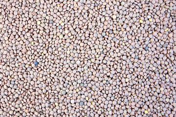Lentils brown texture