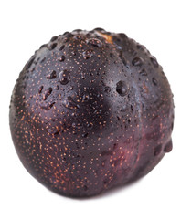 ripe plum blue with water drops