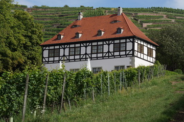 Fototapeta na wymiar Schloss Hoflößnitz Radebeul