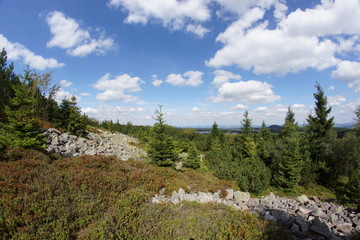 Kahleberg Osterzgebirge