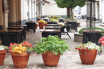 Street cafe exterior, blooming flowers in pots foreground