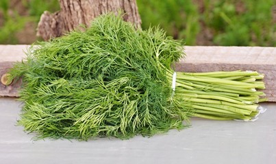 Bundle of dill
