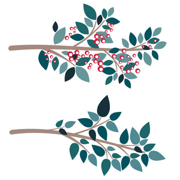 Simple Tree Branch