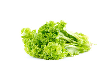Fresh green lettuce