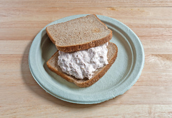 Tuna sandwich on paper plate