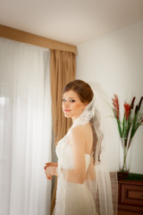 Beautiful bride wedding hairstyle makeup marriage