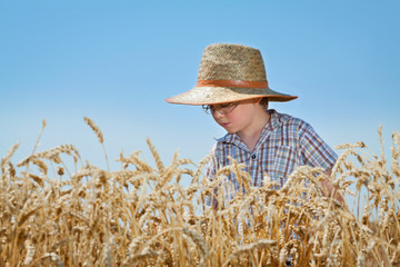 Little children in wheat