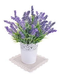 pot with lavender isolated on a white
