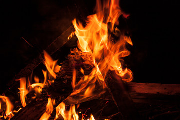 Bonfire at night