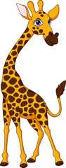 Obraz premium Cute giraffe cartoon