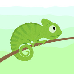 Chameleon © eranicle