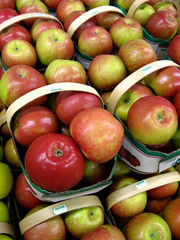 Freshly picked apples, lined up at farmers' market.