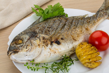 Grilled dorado