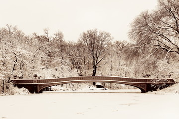 Central Park winter