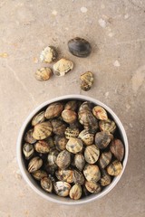 Fototapeta premium fresh clam shellfish in metal dish