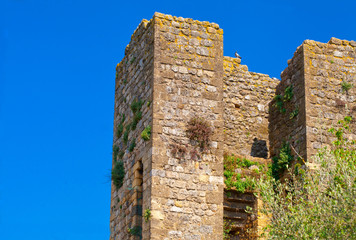 Fototapeta na wymiar Ruined tower