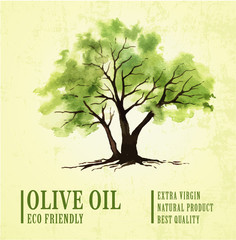 Hand drawn olive tree illustration with watercolor
