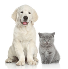 Plakaty  Kot i pies razem