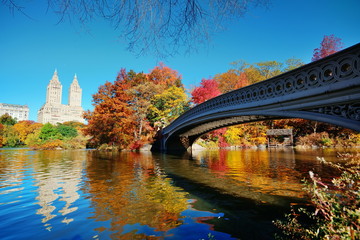 Central Park Autumn