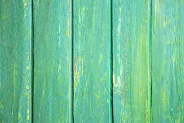 Fototapeta na wymiar Green colour wooden background