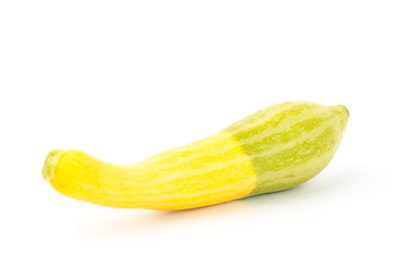 Fresh crookneck squash