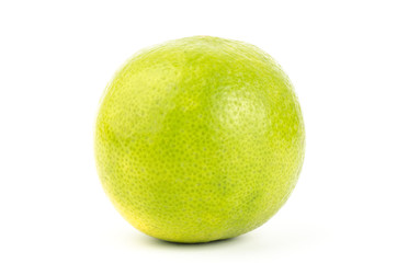 Lime