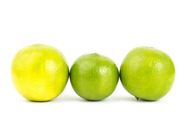 Lime