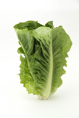 vegetable isolated on the white background.