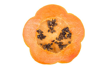 ripe papaya