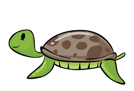 Sea Turtle Cartoon