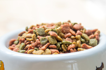 dog food