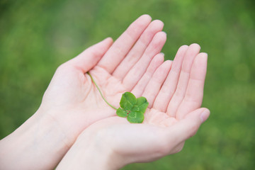 四つ葉のクローバーを持つ手