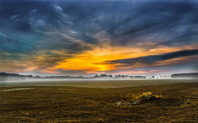 Opolskie pole o świcie © ŁOK