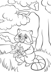 little cute raccoon in the forest