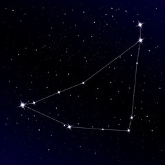 Naklejka premium Capricorn constellation