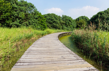 Fototapeta na wymiar Wooden footpath in wetland