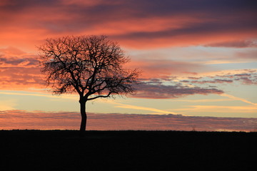 ciel matinal