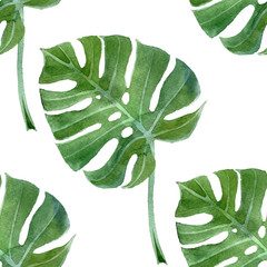 watercolor monstera leaf seamless