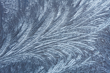 patterns of frost