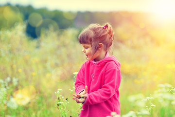 Little girl picking flowers in the meadow