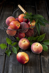 Group of fresh peaches on wood background