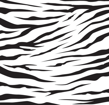 zebra stripes pattern background vector