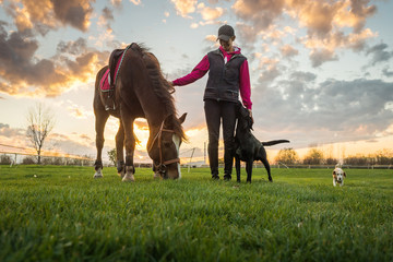 Girl and horse