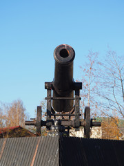 gun in the park