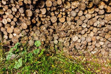 Pile of wood