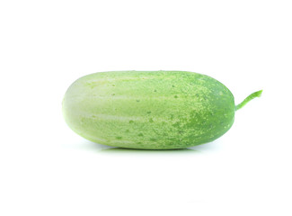 A fresh and tasty green vine ripened garden grown cucumber isola