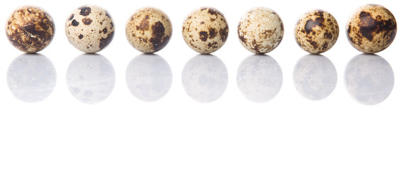 Quail eggs over white background