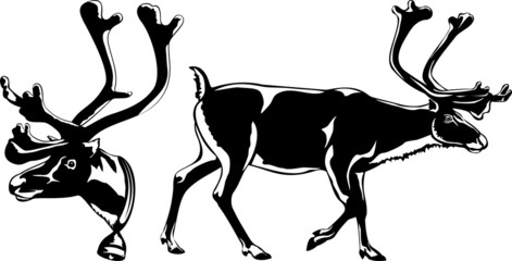 reindeer - black and white vector silhouettes